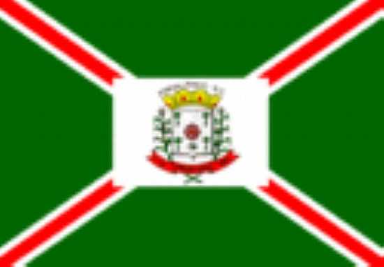 BANDEIRA DA CIDADE - PINHALZINHO - SC