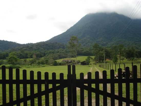 PAISAGEM RURAL NA ESTRADA RIO DA PRATA., POR VITOR BUSARELLO - PIRABEIRABA - SC