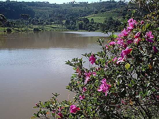 LAGO DA REPRESA EM PIRATUBA-FOTO:THIAGO DAMBROS - PIRATUBA - SC