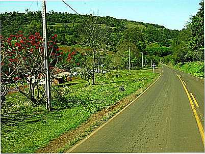 CENRIO RURAL-FOTO:ERICO CHRISTMANN  - PLANALTO ALEGRE - SC