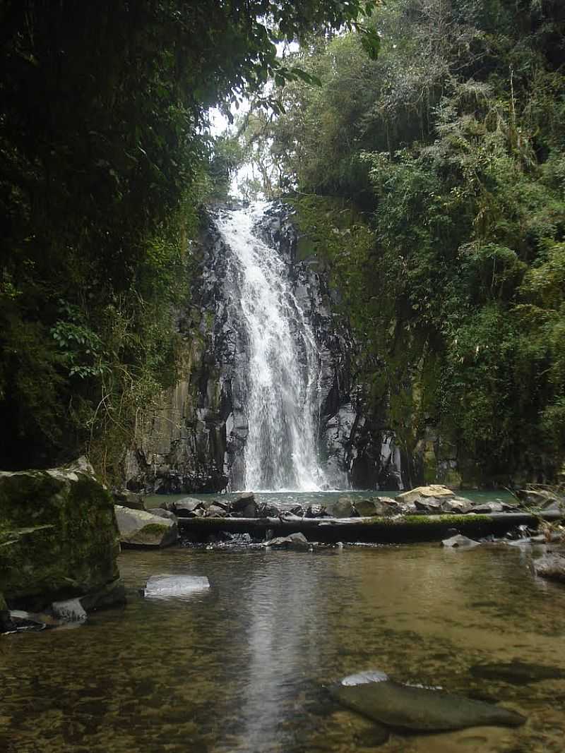 POUSO REDONDO-SC-CACHOEIRA NA SERRA DA SANTA-FOTO:SIDNEI RECCO - POUSO REDONDO - SC