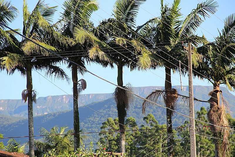 PRAIA GRANDE-SC-A CAMINHO DOS CANYONS-FOTO:GILBERTO DE BONA  - PRAIA GRANDE - SC