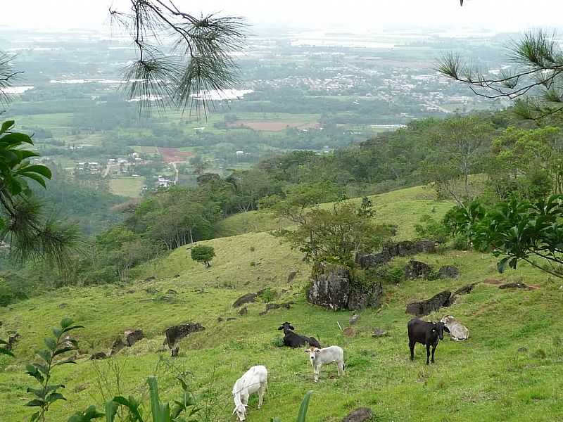 PRAIA GRANDE-SC-PASTAGEM E AO FUNDO A CIDADE-FOTO:JIRO SUMINO - PRAIA GRANDE - SC