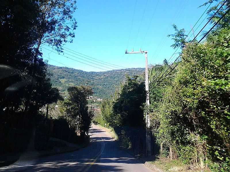 IMAGENS DA LOCALIDADE DE RIBEIRO DA ILHA - SC DISTRITO DE FLORIANPOLIS - SC - RIBEIRO DA ILHA - SC