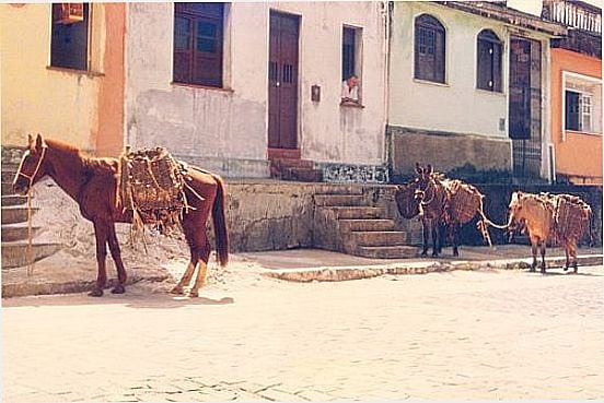 MEIO DE TRANSPORTE EM NAZAR-FOTO:ALEXANDRE NEVES - NAZAR - BA