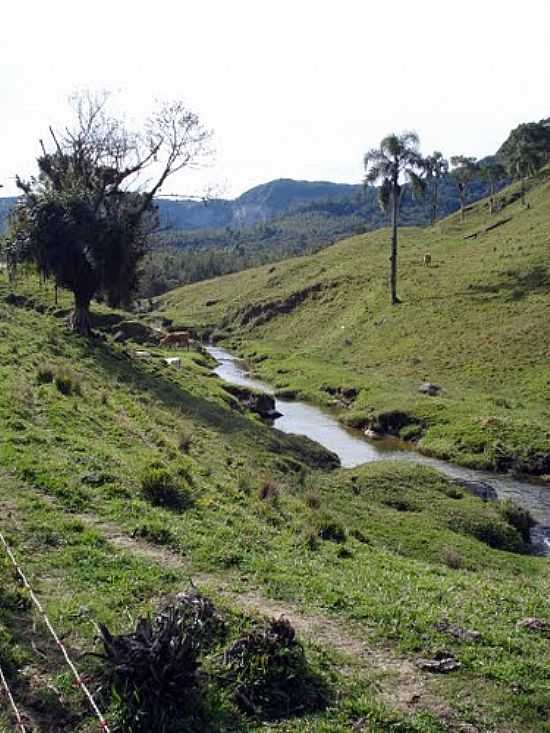 PAISAGEM DE RIO BONITO-FOTO:CARLOS C. NASATO - RIO BONITO - SC