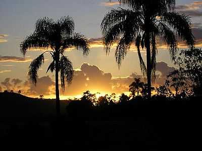 NASCER DO SOL EM RIO DUNA-FOTO:LUFERVOGEL  - RIO D'UNA - SC