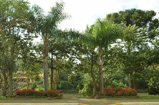 RIO DAS ANTAS - SC - RIO DAS ANTAS - SC