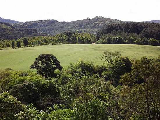 RIO DAS ANTAS - SC - RIO DAS ANTAS - SC