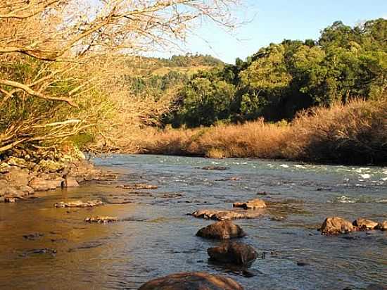 RIO DAS ANTAS-FOTO:ALEX CARNIEL 3 - RIO DAS ANTAS - SC