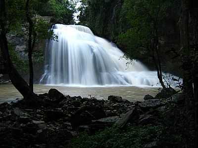 CACHOEIRA DAS ANDORINHAS-FOTO:IVO KINDEL  - RIO DO CAMPO - SC