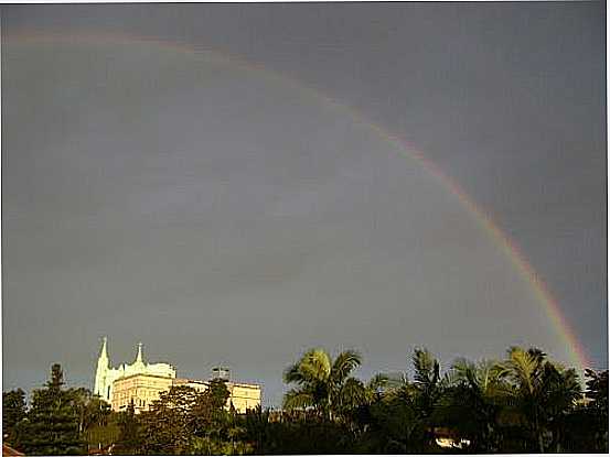 AUROLA DIVINA-FOTO:ANGELO CARLOS RONCHI - RIO DO OESTE - SC