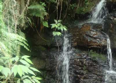 RIO DOS BUGRES, POR MURILO ANTUNES GOEDERT - RIO DOS BUGRES - SC