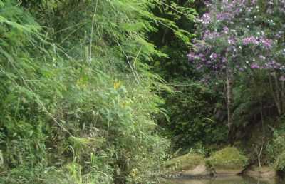 RIO DOS BUGRES, POR MURILO ANTUNES GOEDERT - RIO DOS BUGRES - SC