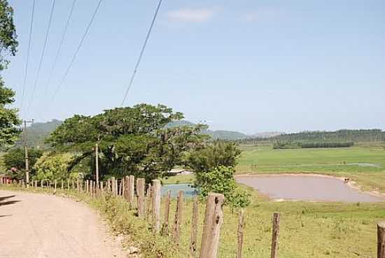 INTERIOR DE SANTA ROSA DO SUL-SC-FOTO:MARLON ANTONELLI - SANTA ROSA DO SUL - SC