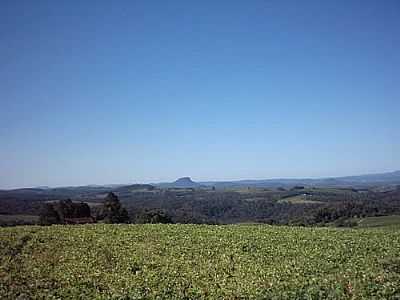 SANTA TEREZINHA-FOTO:ISI HENNKA  - SANTA TEREZINHA - SC