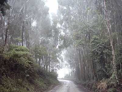 SERRA-FOTO:ISI HENNKA  - SANTA TEREZINHA - SC