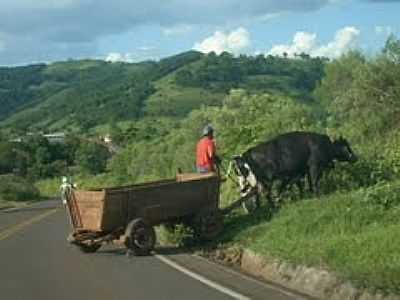 IMAGEM-FOTO:JORGE ROBERTO FREITA  - SANTA TEREZINHA DO PROGRESSO - SC