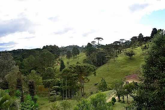SO BENTO DO SUL-SC-VISTA DA REGIO-FOTO:EDSON A HARDT - SO BENTO DO SUL - SC