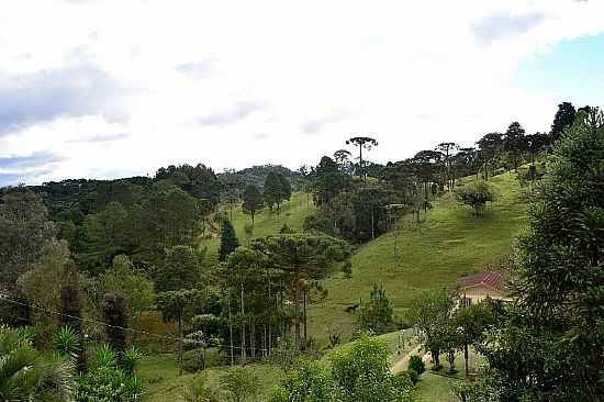 SO BENTO DO SUL-SC-VISTA DA REGIO-FOTO:EDSON A HARDT - SO BENTO DO SUL - SC