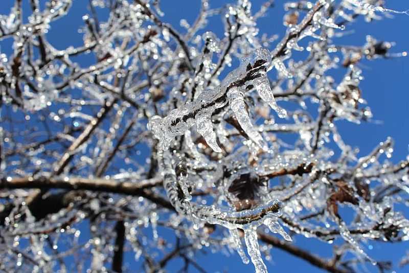 IMAGENS DA CIDADE DE SO JOAQUIM/SC COM QUEDA DE NEVE EM JULHO/2021-FOTO:MYCCHEL LEGNAGHI - SO JOAQUIM - SC