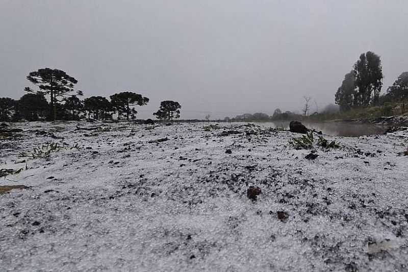 IMAGENS DA CIDADE DE SO JOAQUIM/SC COM QUEDA DE NEVE EM JULHO/2021-FOTO:MYCCHEL LEGNAGHI          - SO JOAQUIM - SC