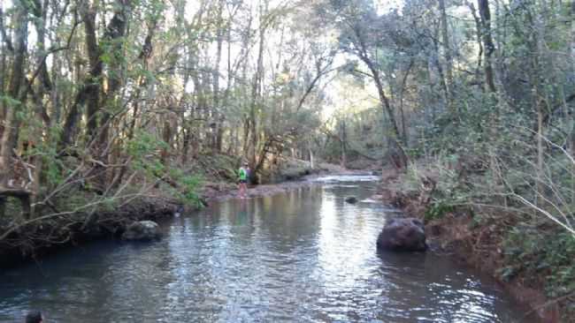 RIO TRAIRAS, POR DIRLEI BENDLIN - SO MIGUEL DA BOA VISTA - SC