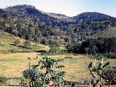 FAZENDA SANTA AMLIA
FOTO:POR MRIO CABRAL FILHO - NOVA IBI - BA