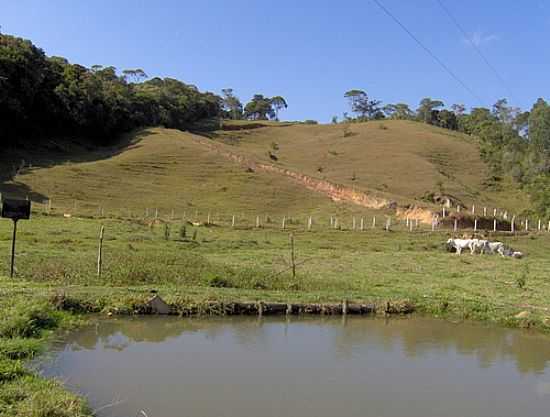 REA RURAL EM SO PEDRO DE ALCNTARA-FOTO:MARCI3L - SO PEDRO DE ALCNTARA - SC