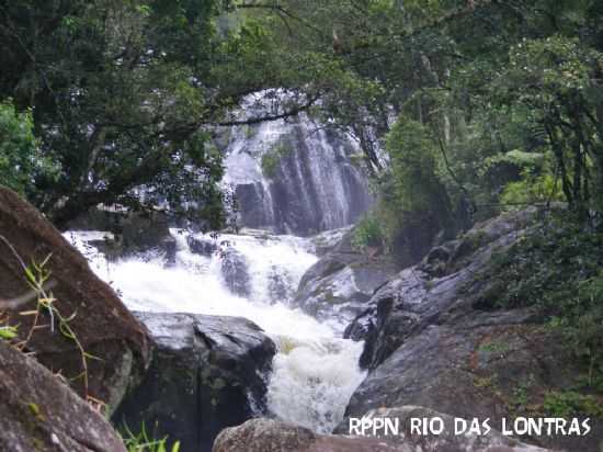 A RPPN RIO DAS LONTRAS  A NICA UNIDADE DE CONSERVAO DE SO PEDRO DE ALCNTARA., POR FERNANDO JOS PIMENTEL TEIXEIRA - SO PEDRO DE ALCNTARA - SC