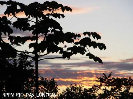 ENTARDECER NA RPPN RIO DAS LONTRAS., POR FERNANDO JOS PIMENTEL TEIXEIRA - SO PEDRO DE ALCNTARA - SC