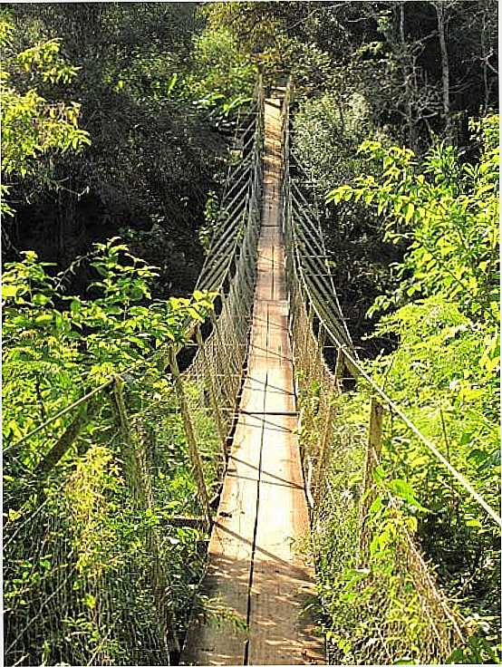 SOBRE O RIO SAUDADES-FOTO:ALEX CARNIEL - SAUDADES - SC