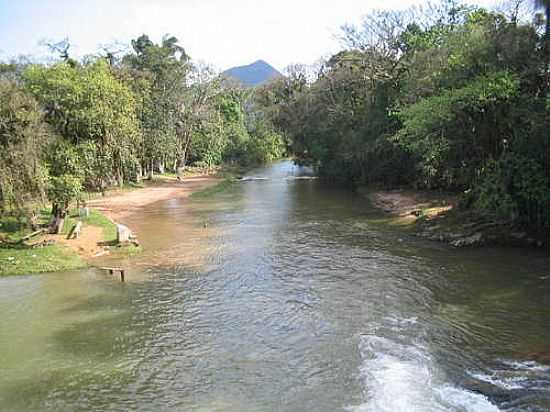 PRAINHA EM SCHROEDER-SC-FOTO:IVANIO DALTON - SCHROEDER - SC