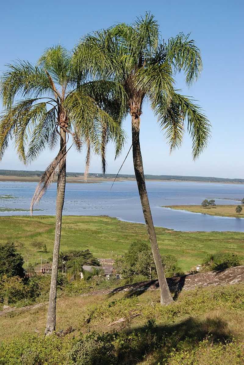 SOMBRIO-SC-A BELA LAGOA-FOTO:MARLON ANTONELLI  - SOMBRIO - SC