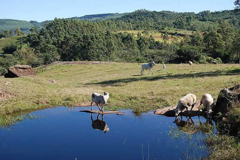 SOMBRIO-SC-REA RURAL-FOTO:MARLON ANTONELLI - SOMBRIO - SC