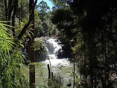 CACHOEIRA-FOTO:DUDYFELIPE  - TAQUARAS - SC