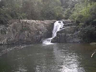 TRISMYA-REA DE PRESERVAO ECOLGICA-FOTO:ALCIO ANDRADE FILHO - TAQUARAS - SC