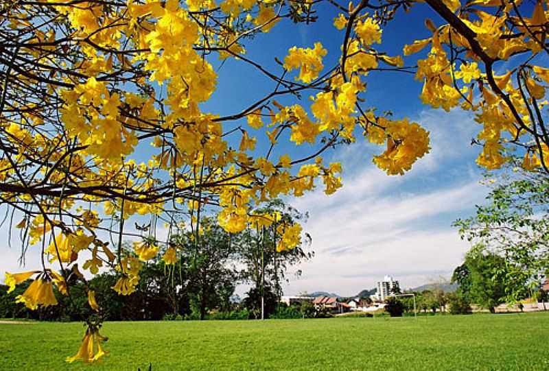 IMAGENS DA CIDADE DE TIMB - SC FOTO PREFEITURA MUNICIPAL - TIMB - SC