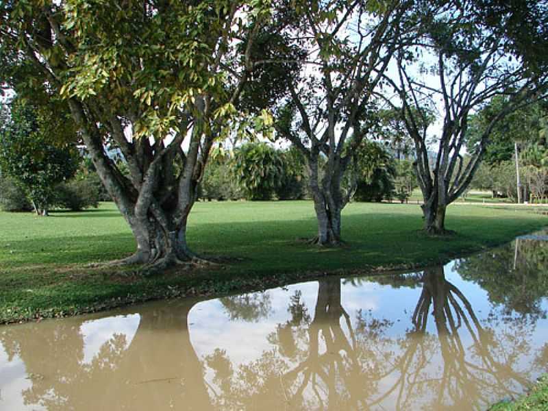 IMAGENS DA CIDADE DE TIMB - SC FOTO PREFEITURA MUNICIPAL - TIMB - SC