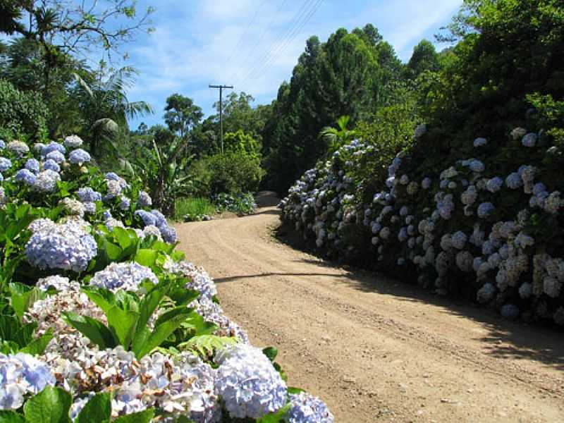 IMAGENS DA CIDADE DE TIMB - SC FOTO PREFEITURA MUNICIPAL - TIMB - SC