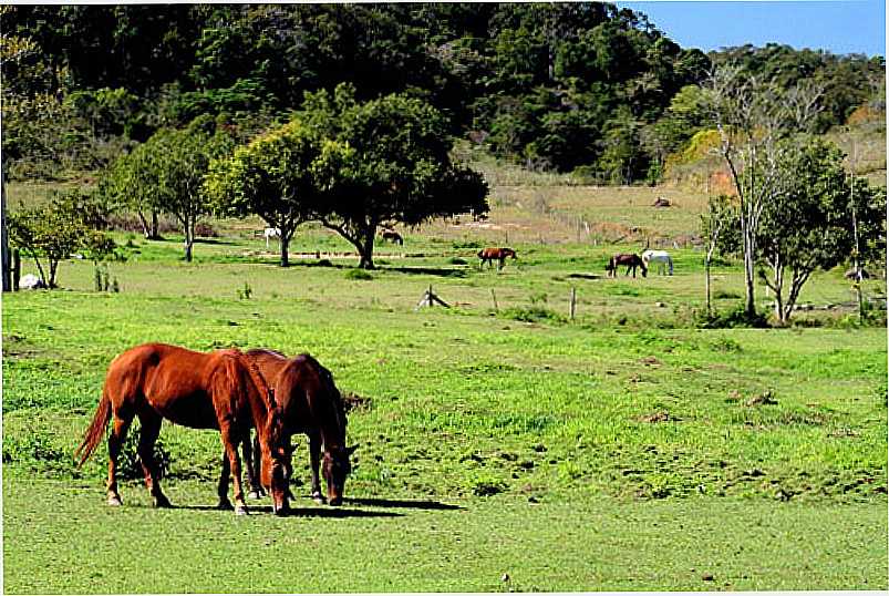 IMAGENS DA CIDADE DE TIMB - SC FOTO PREFEITURA MUNICIPAL - TIMB - SC