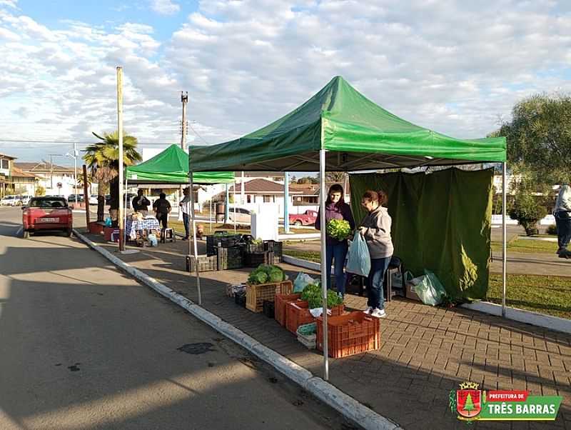 IMAGENS DA CIDADE DE TRS BARRAS - SC - TRS BARRAS - SC