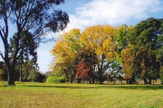 BELEZAS NATURAIS., POR CLA  - TRS BARRAS - SC