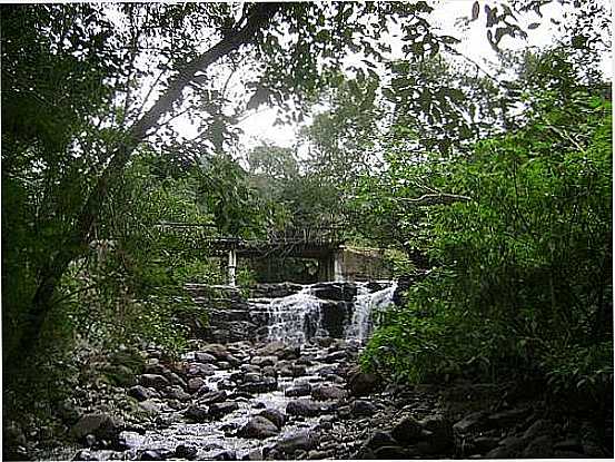 CACHOEIRA EM GUANABARA,TREVISO-SC-FOTO:JOS CARMINATTI - TREVISO - SC