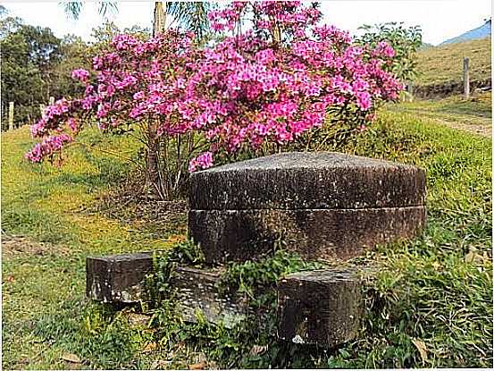 MONUMENTO E FLORES EM TREVISO-SC-FOTO:JAIR ARMANDO AMOROSO - TREVISO - SC