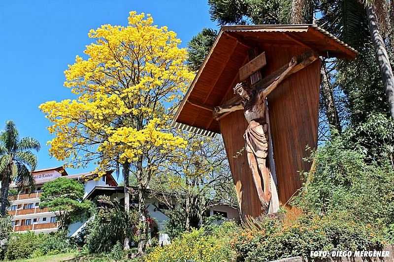 IMAGENS DE TREZE TILIAS - SC - TREZE TLIAS - SC