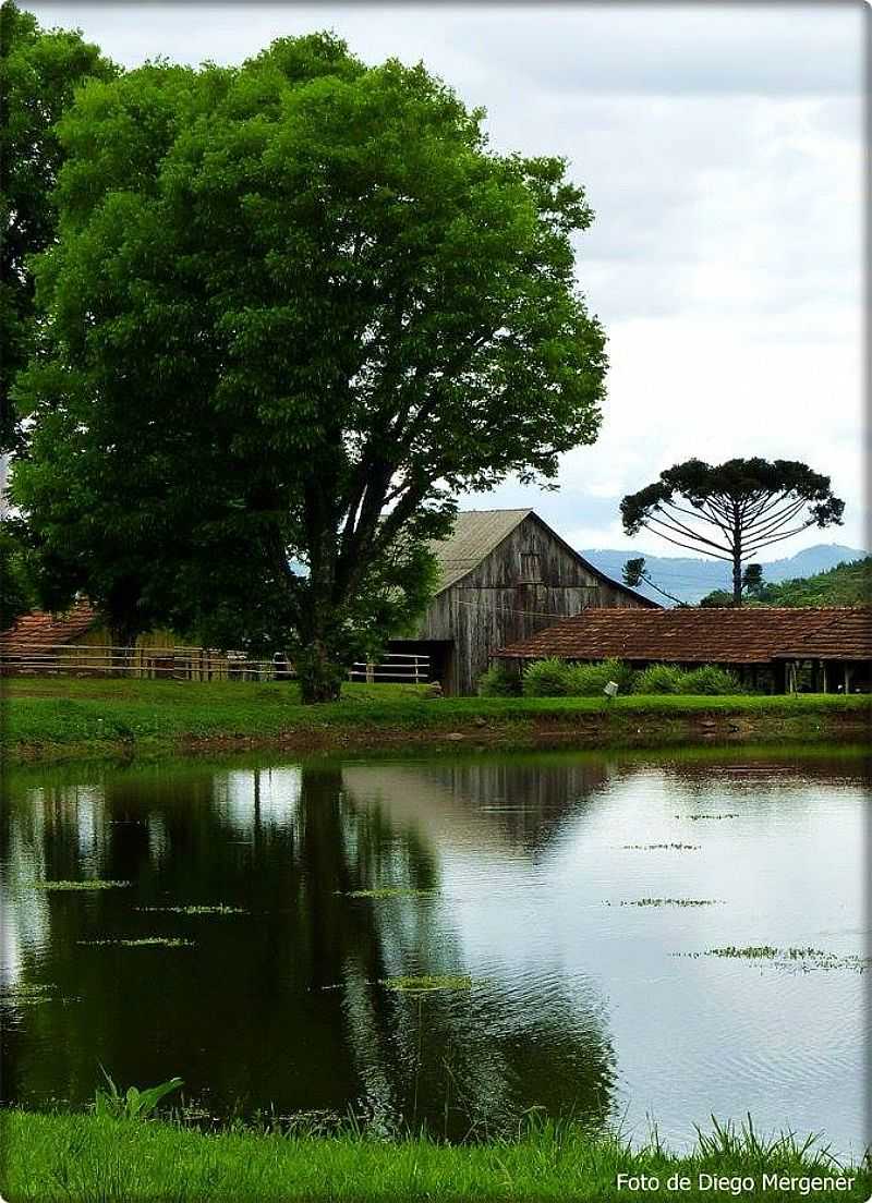 IMAGENS DE TREZE TILIAS - SC - TREZE TLIAS - SC