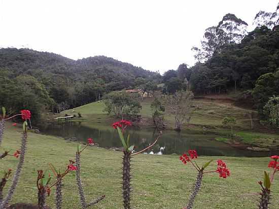 TUBARO-SC-LINDA PAISAGEM NA LOCALIDADE DE ALTO PEDRINHAS-FOTO:JOS CARMINATTI - TUBARO - SC