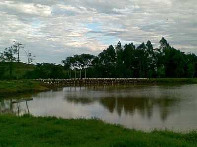 LAGOA PEDRO KERKOF-FOTO:RAFARIPPLINGER  - TUNPOLIS - SC