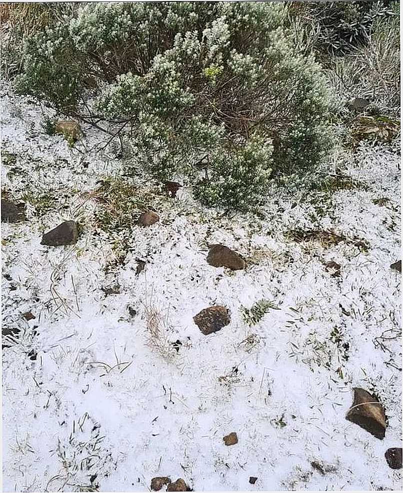 IMAGENS DE QUEDA DE NEVE 2022, EM URUBICI/SC - URUBICI - SC